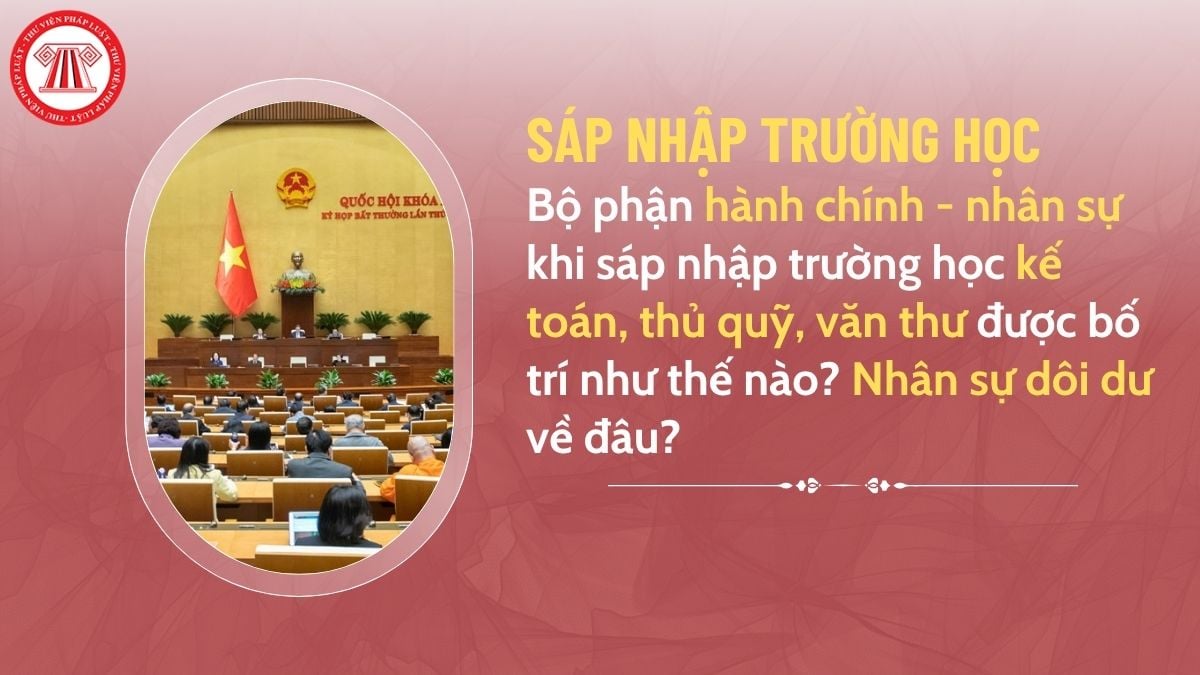 Pháp luật