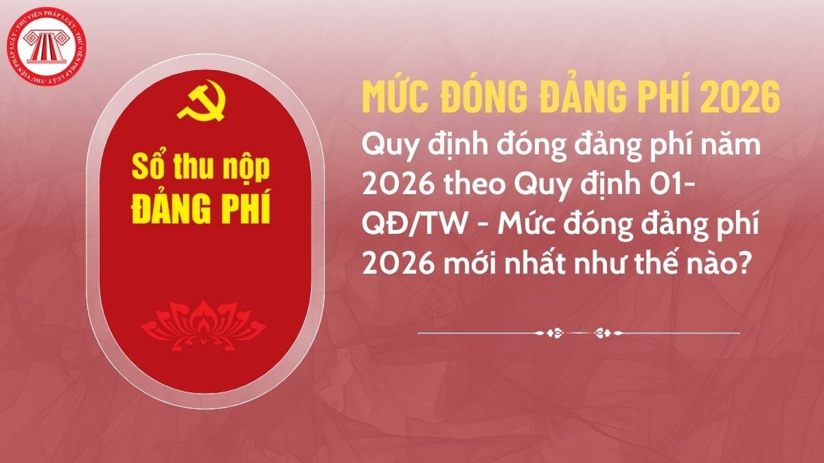 Pháp luật