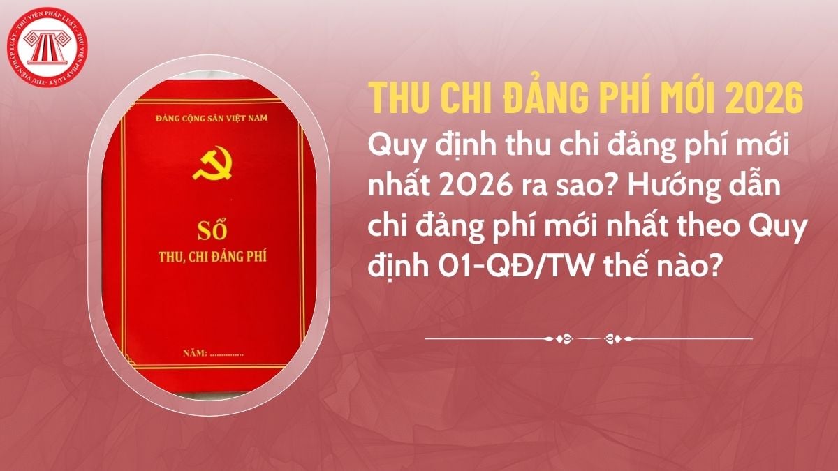 Pháp luật