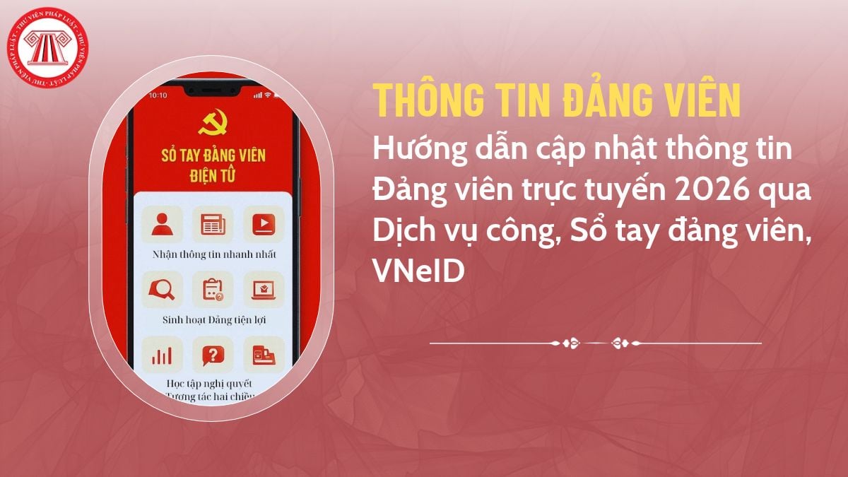 Pháp luật