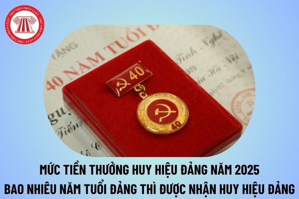 Tiền thưởng Huy hiệu Đảng năm 2025 là bao nhiêu? Bao nhiêu năm tuổi Đảng thì được nhận Huy hiệu Đảng? 