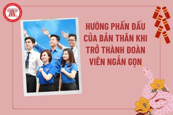 Hướng phấn đấu của bản thân khi trở thành đoàn viên ngắn gọn? Nếu trở thành đoàn viên em sẽ làm gì? Nhiệm vụ đoàn viên?