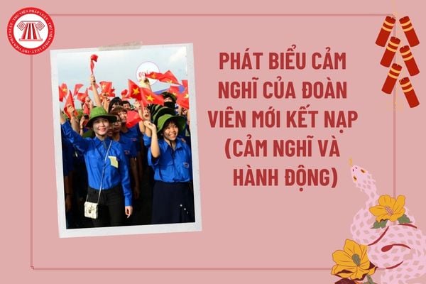 Phát biểu cảm nghĩ của Đoàn viên mới kết nạp ý nghĩa? Cảm nghĩ và hành động của anh chị khi trở thành người Đoàn viên?