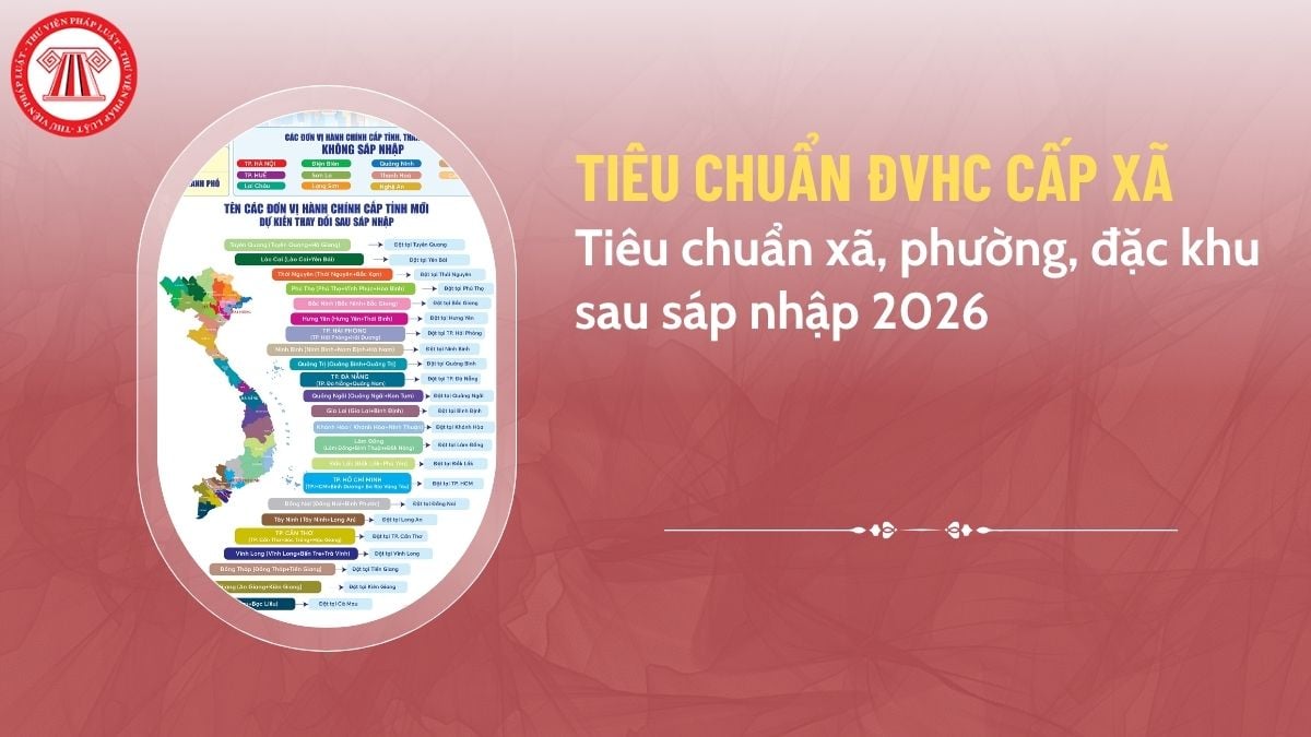 Pháp luật