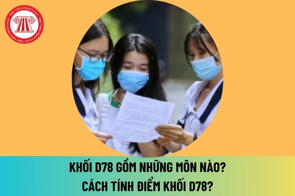 Khối D78 gồm những môn nào? Cách tính điểm khối D78? D78 gồm những ngành nào? Phổ điểm từng môn khối D78 năm 2024?