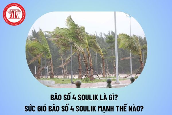 Bão số 4 Soulik là gì? Cơn bão số 4 Soulik có sức gió mạnh thế nào? Vị trí tâm bão số 4 hiện đang ở đâu? 