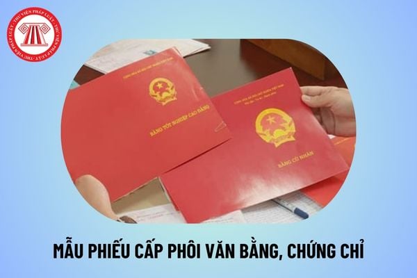 Mẫu phiếu cấp phôi văn bằng, chứng chỉ năm 2024 theo Quyết định 2699/QĐ-BGDĐT như thế nào? Tải mẫu ở đâu?