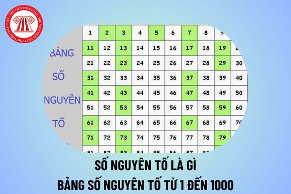 Số nguyên tố là gì? Bảng số nguyên tố từ 1 đến 1000? 1 có phải số nguyên tố không? Mục tiêu môn Toán theo Thông tư 32?