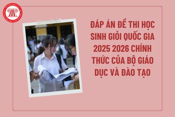 Pháp luật