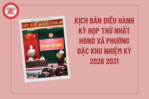 Pháp luật