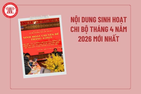 Pháp luật