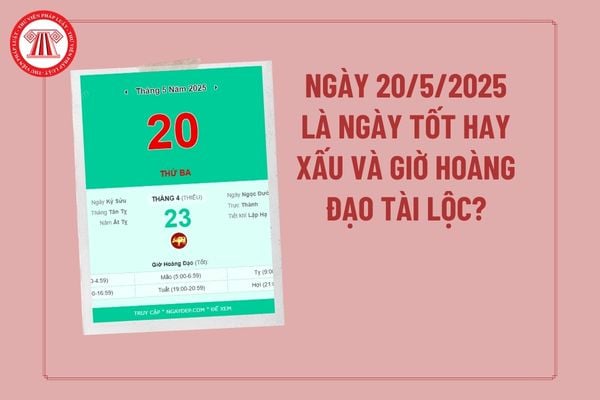 Pháp luật