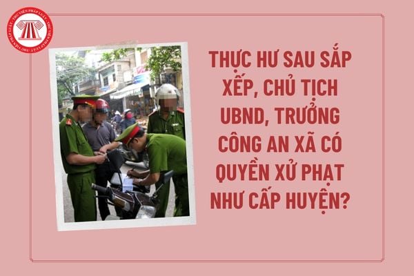 Pháp luật