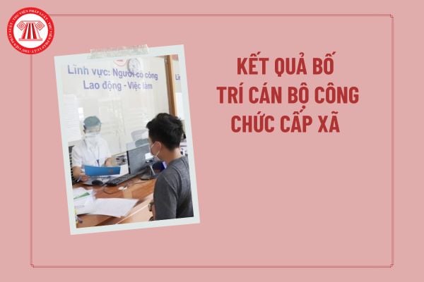 Pháp luật