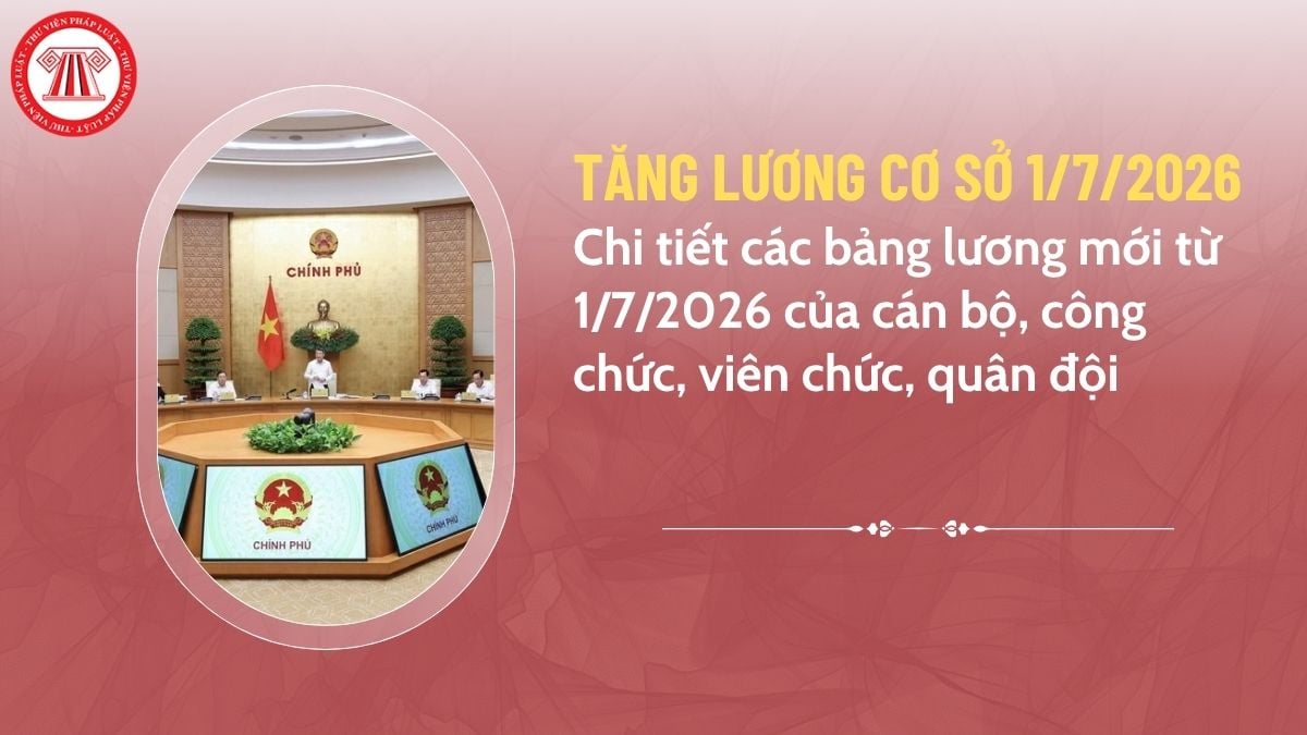 Pháp luật