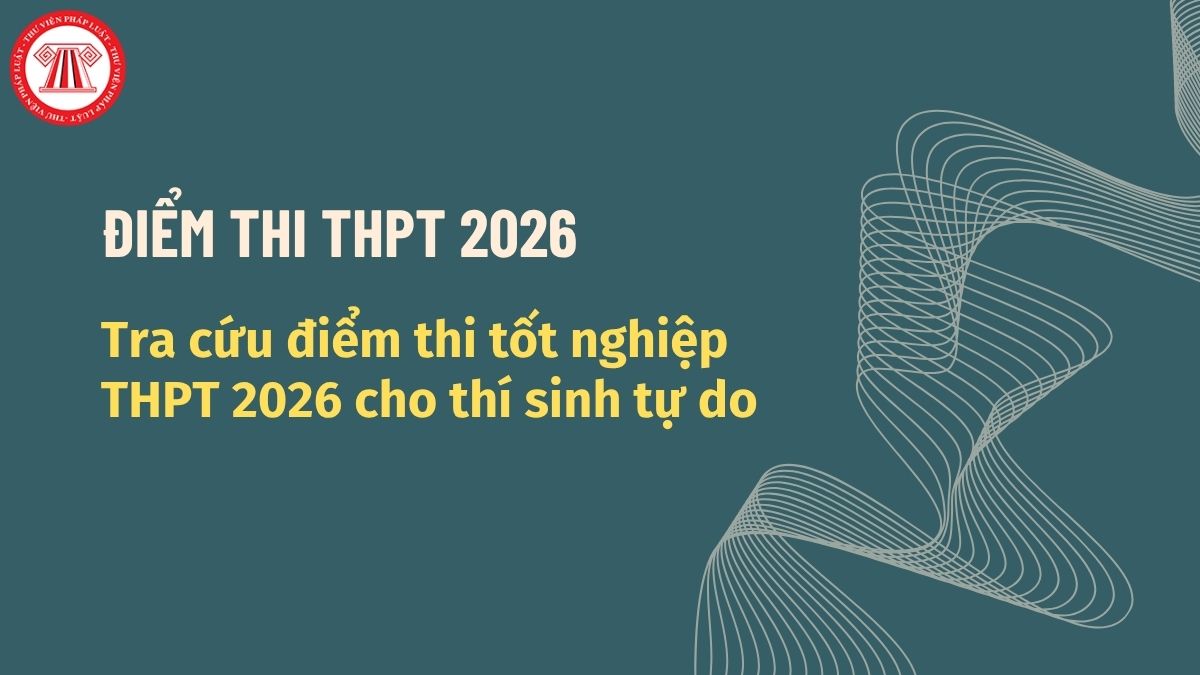 Pháp luật