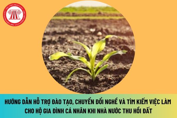 Hướng dẫn hỗ trợ đào tạo, chuyển đổi nghề và tìm kiếm việc làm cho hộ gia đình, cá nhân khi Nhà nước thu hồi đất từ 01/8/2024? 