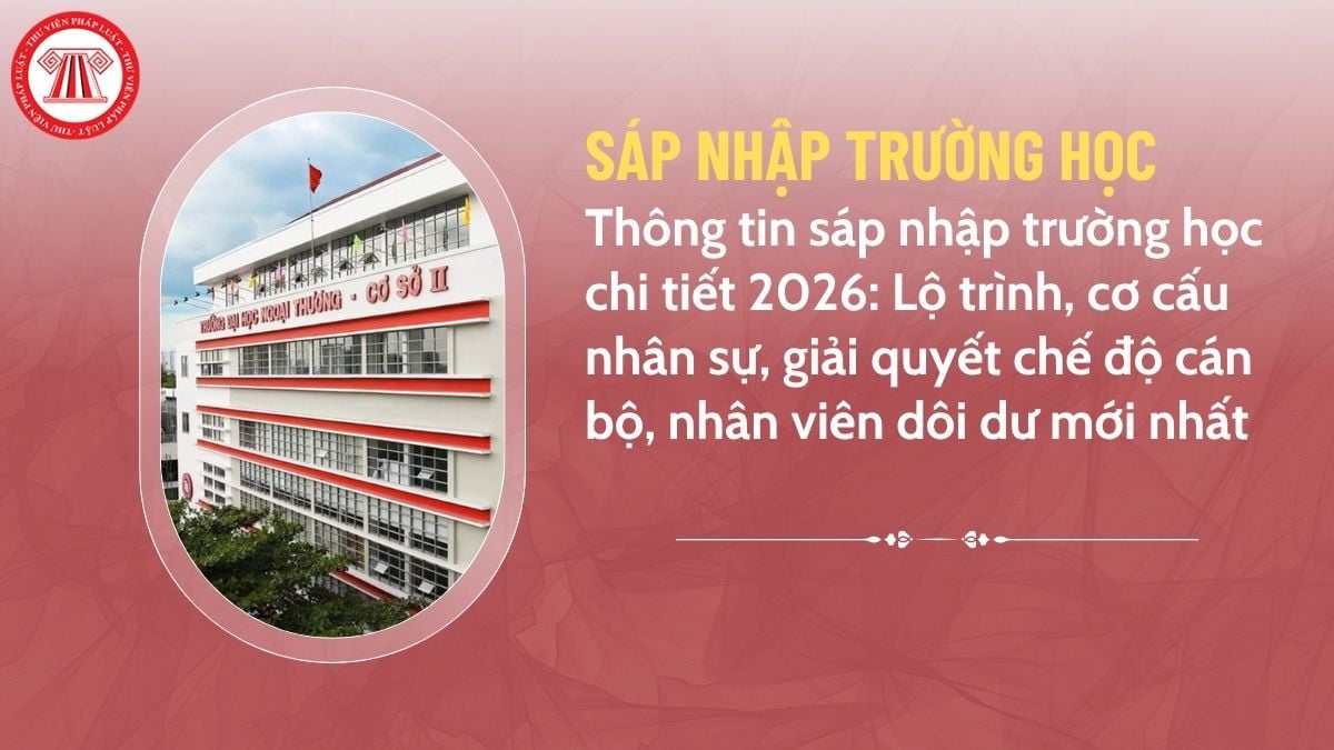Pháp luật