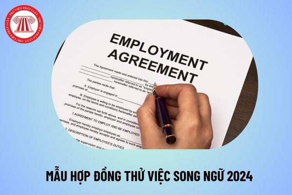 Mẫu hợp đồng thử việc 2024? Mẫu hợp đồng thử việc song ngữ? Mẫu hợp đồng thử việc file word mới nhất ở đâu?