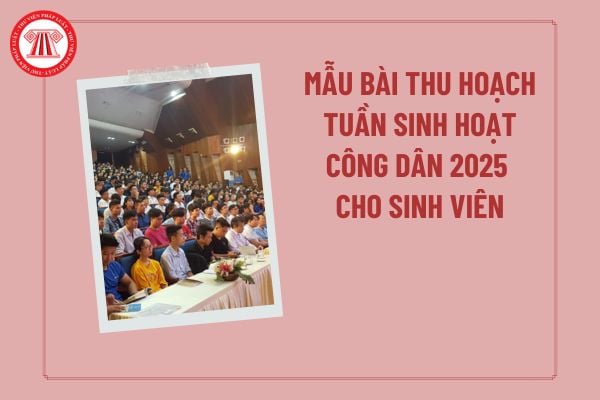 Pháp luật