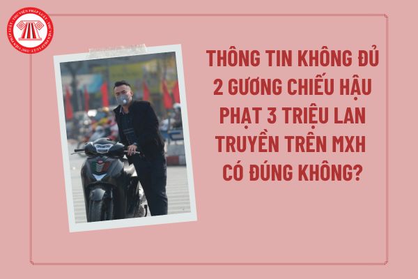 Pháp luật