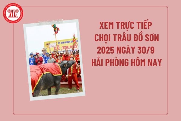 Pháp luật