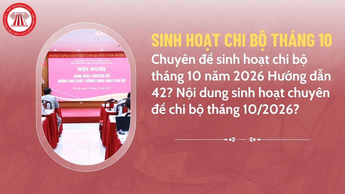 Pháp luật