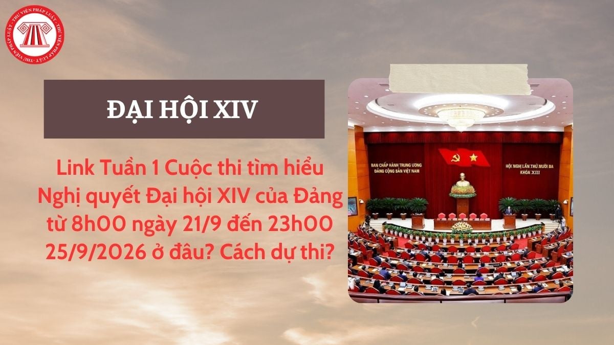 Pháp luật