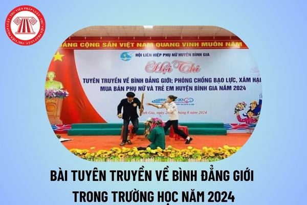 Bài tuyên truyền về bình đẳng giới trong trường học năm 2024? Bài tuyên truyền về bình đẳng giới năm 2024 trường học? 