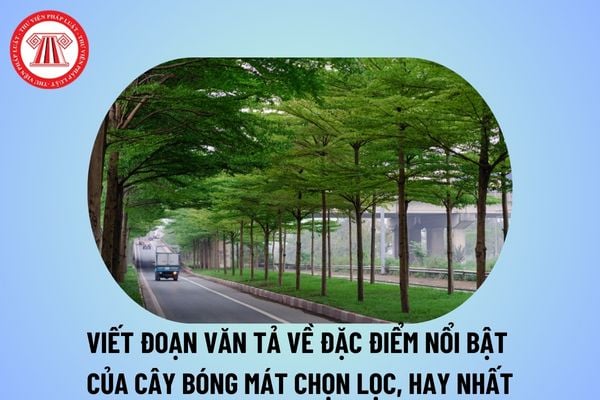 Viết đoạn văn tả đặc điểm nổi bật của một cây bóng mát chọn lọc? Viết đoạn văn tả cây bóng mát? Nhiệm vụ HS tiểu học?