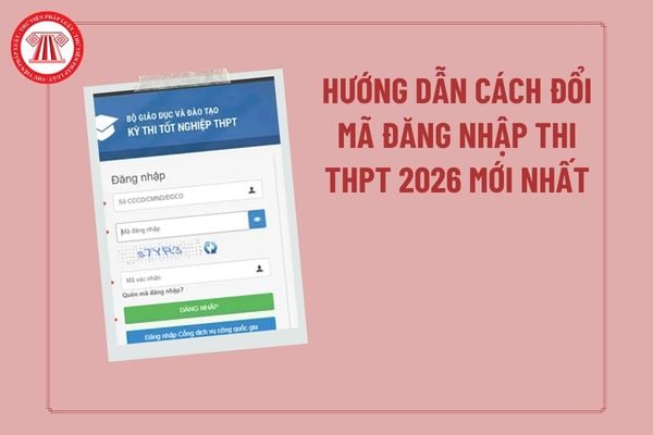 Pháp luật