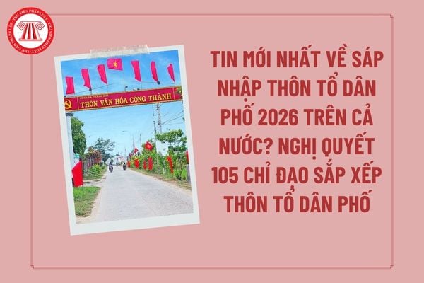 Pháp luật