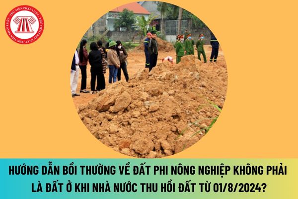 Hướng dẫn bồi thường về đất phi nông nghiệp không phải là đất ở khi Nhà nước thu hồi đất từ 01/8/2024 ra sao? 