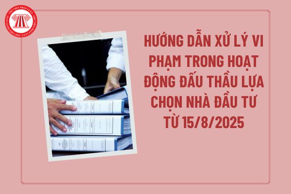 Pháp luật
