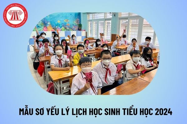 Mẫu sơ yếu lý lịch học sinh tiểu học 2024 dùng để nhập học? Tải sơ yếu lý lịch học sinh tiểu học file word ở đâu?