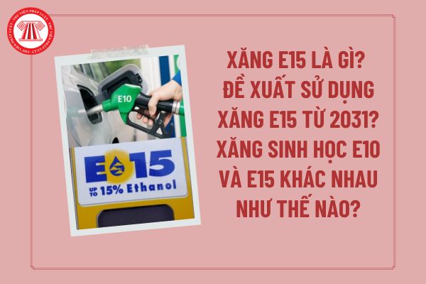 Pháp luật