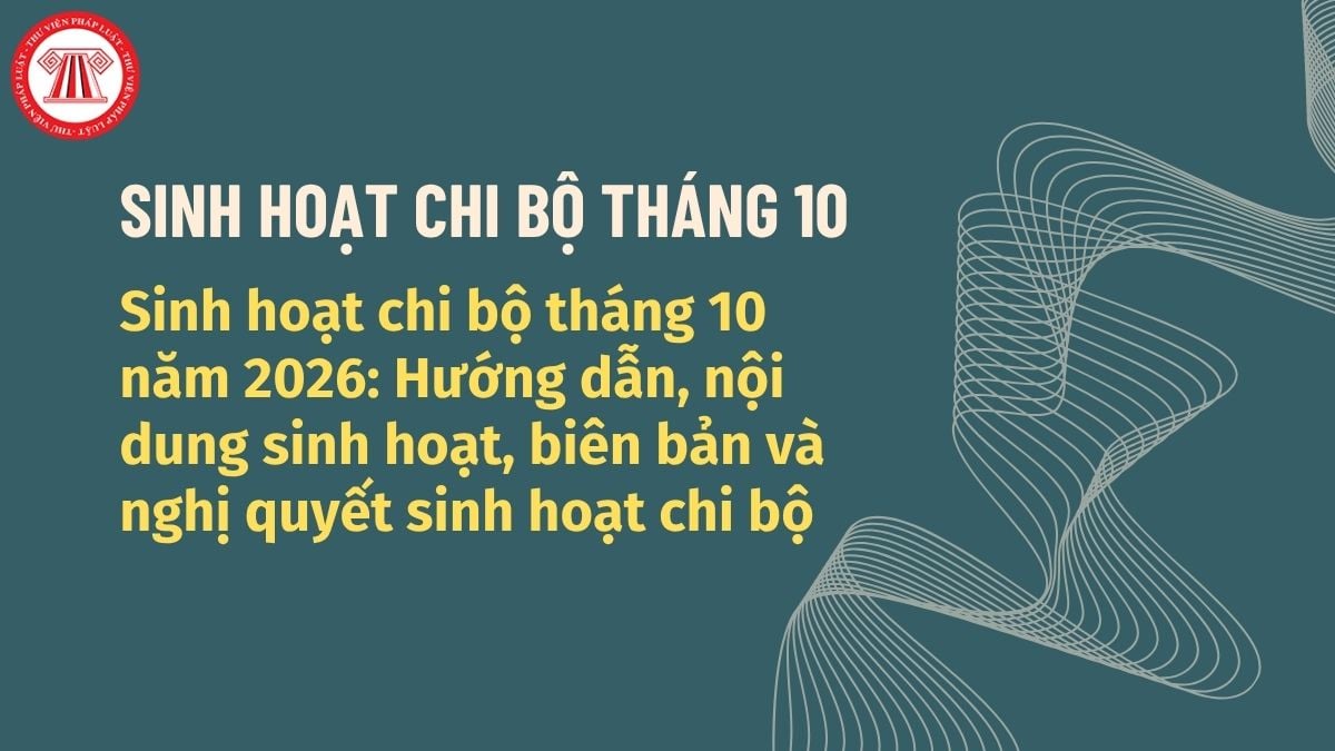 Pháp luật