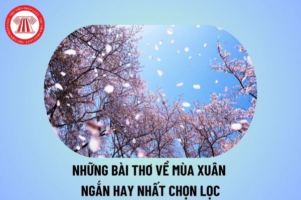 Những bài thơ về mùa xuân ngắn hay nhất, chọn lọc năm 2025? Quan điểm xây dựng chương trình GDPT môn Văn thế nào? 