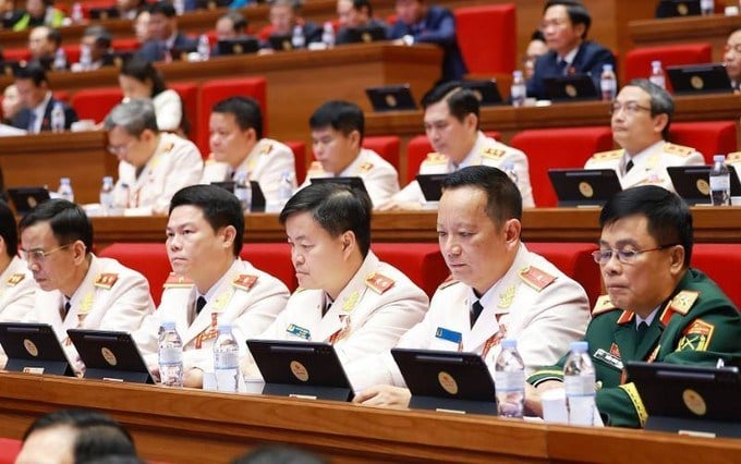 Pháp luật