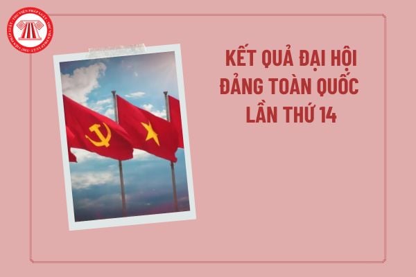 Pháp luật