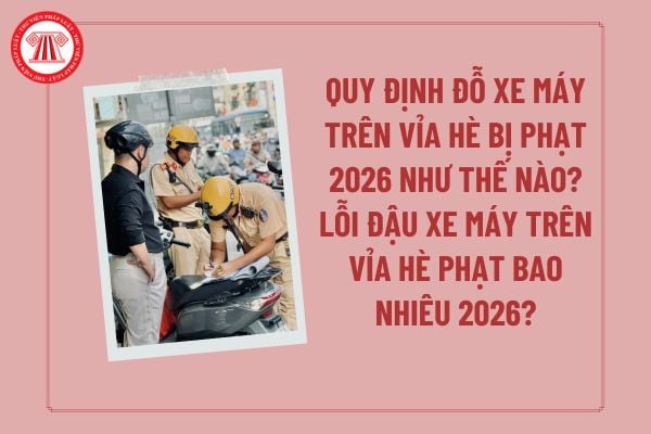 Pháp luật