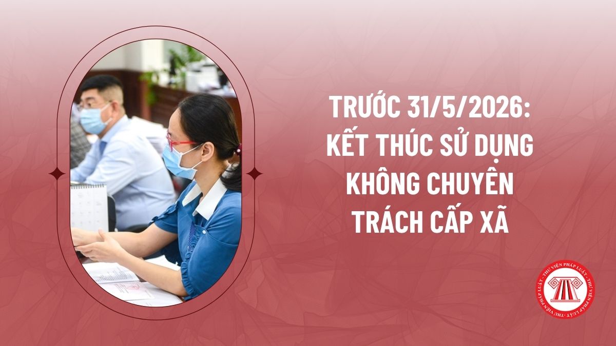 Pháp luật