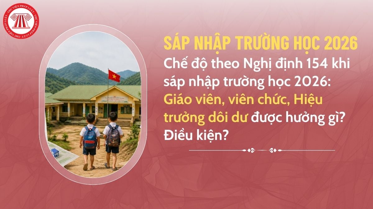 Pháp luật