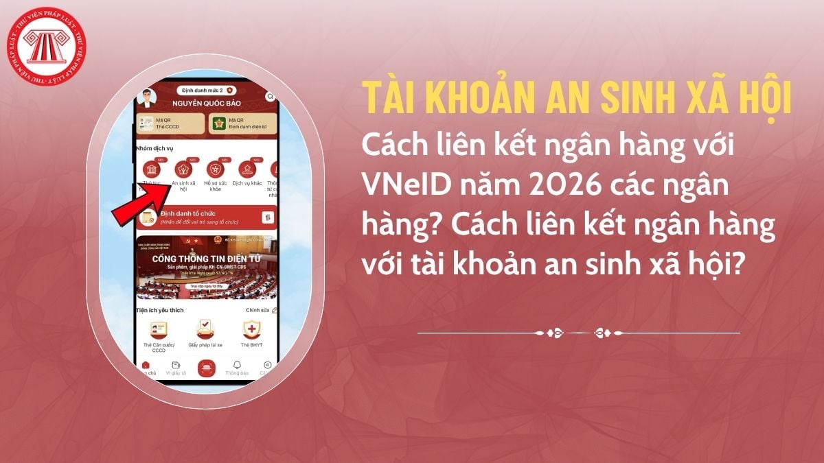 Pháp luật
