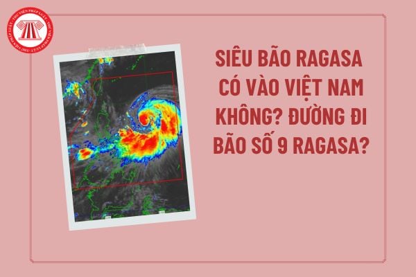 Pháp luật