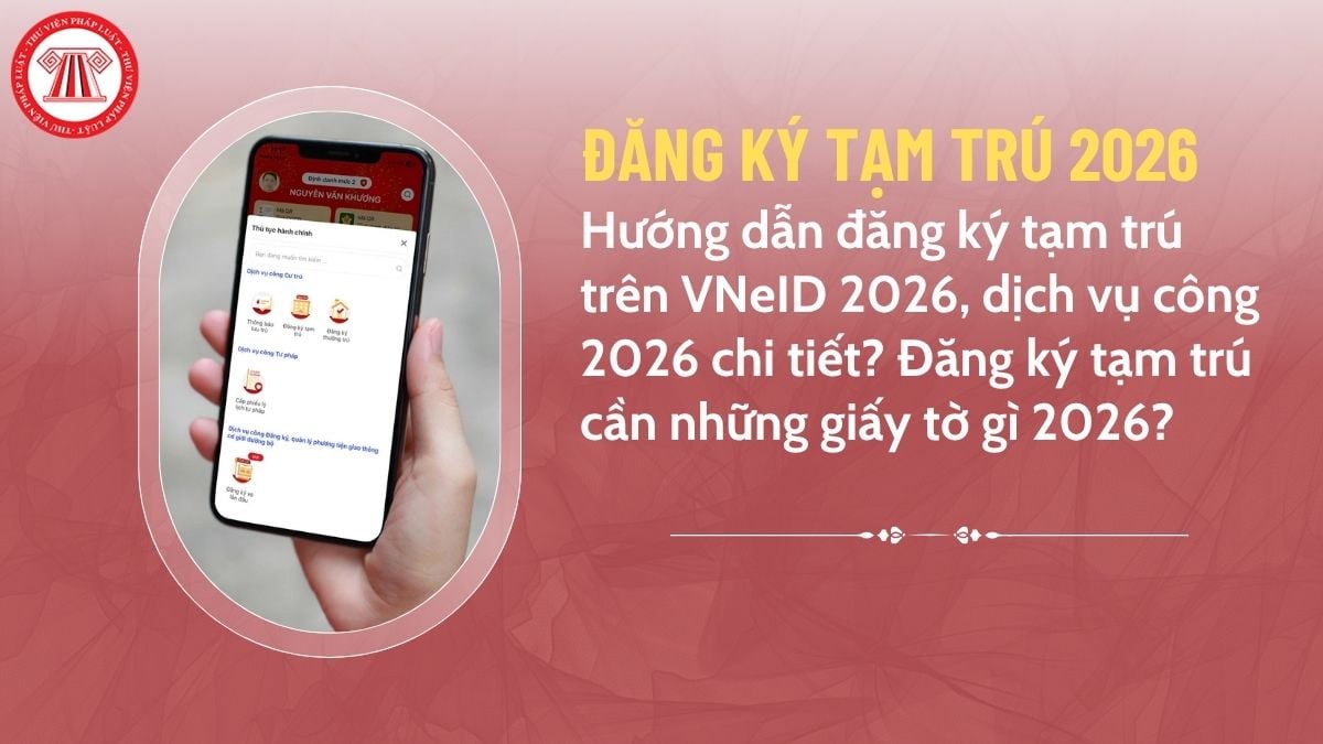 Pháp luật