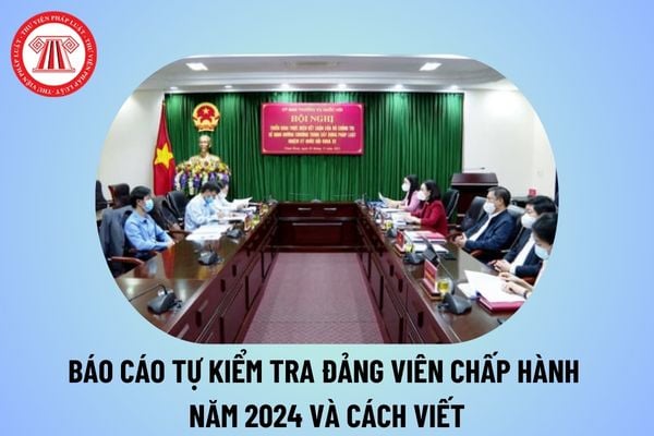 Báo cáo tự kiểm tra Đảng viên chấp hành năm 2024? Cách viết báo cáo tự kiểm tra Đảng viên chấp hành năm 2024?