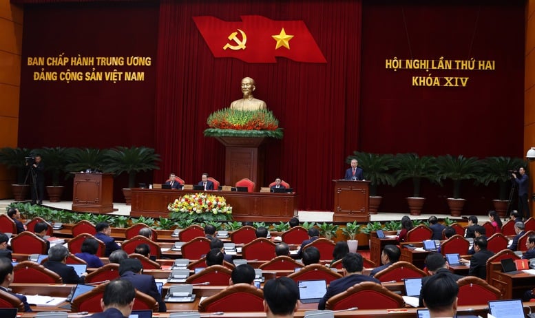 Pháp luật