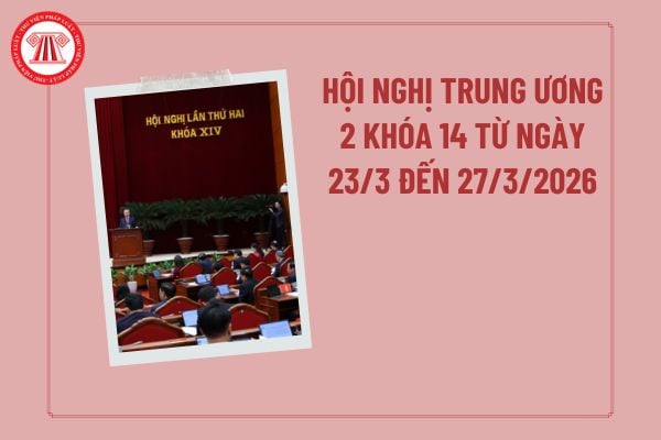 Pháp luật