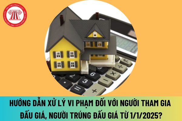 Hướng dẫn xử lý vi phạm đối với người tham gia đấu giá, người trúng đấu giá, cá nhân, tổ chức có liên quan từ ngày 1 1 2025 thế nào?